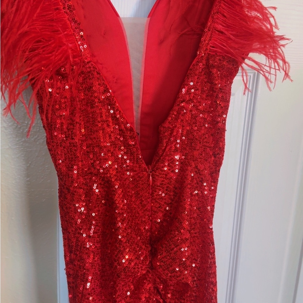Red Sequin Feather Dress